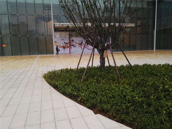 pc砖工程案例